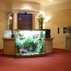 Гостиница Мята Орск-66