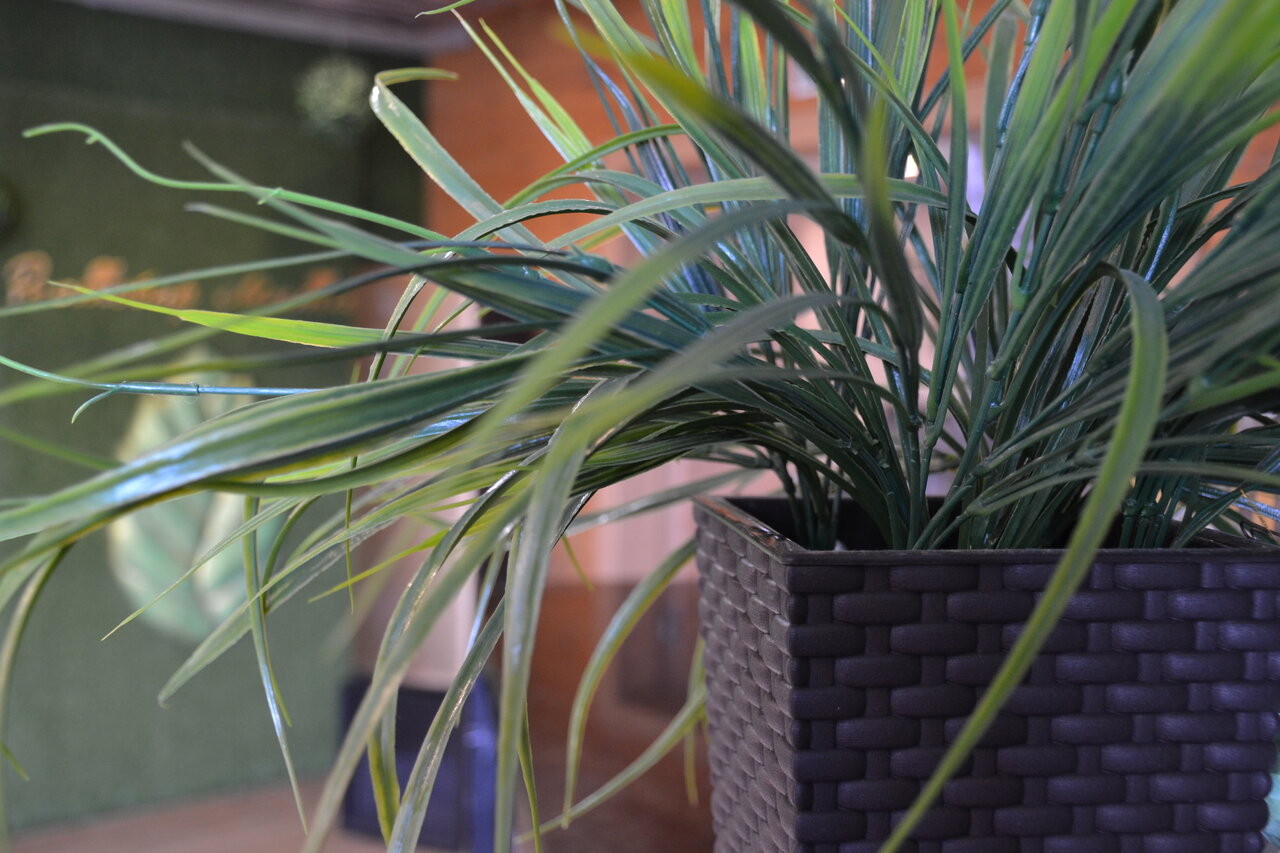 Гостиница Мята Орск-218