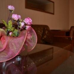 Гостиница Мята Орск-90