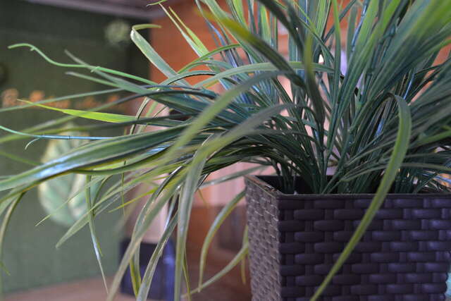 Гостиница Мята Орск-217